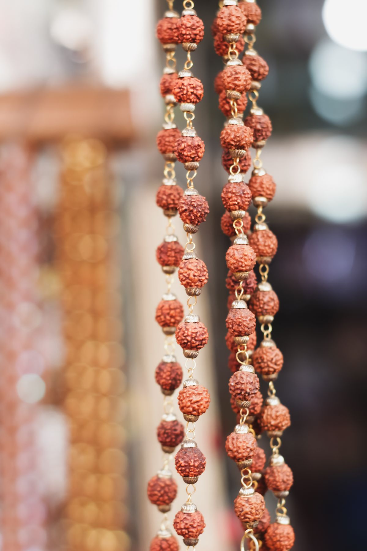 5 Mukhi Rudraksha